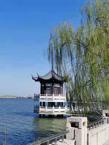 周家鴻手機拍圖——淮水春光