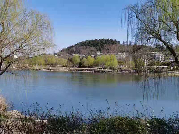 周家鴻手機拍圖——淮水春光