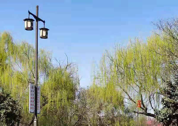 周家鴻手機拍圖——淮水春光