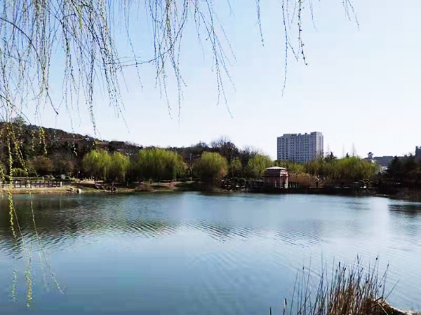 周家鴻手機拍圖——淮水春光