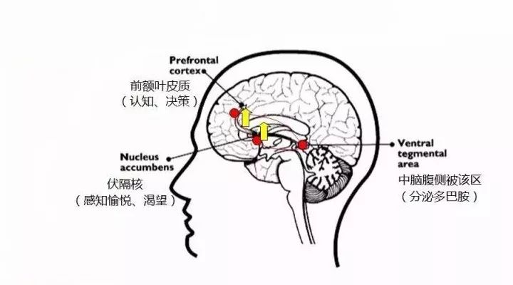 揭秘購買盲盒背后的心理機制：我們到底在購買什么？