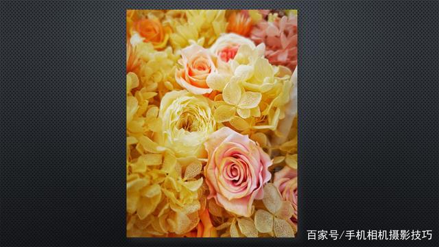 春花盛開，手機怎么拍？記住這4條秘訣，就能出大片！