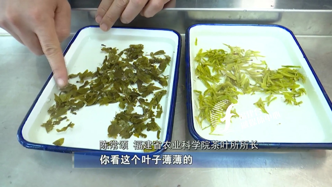 全程揭秘廈門“低價(jià)游黑鏈”，是如何被坑的？