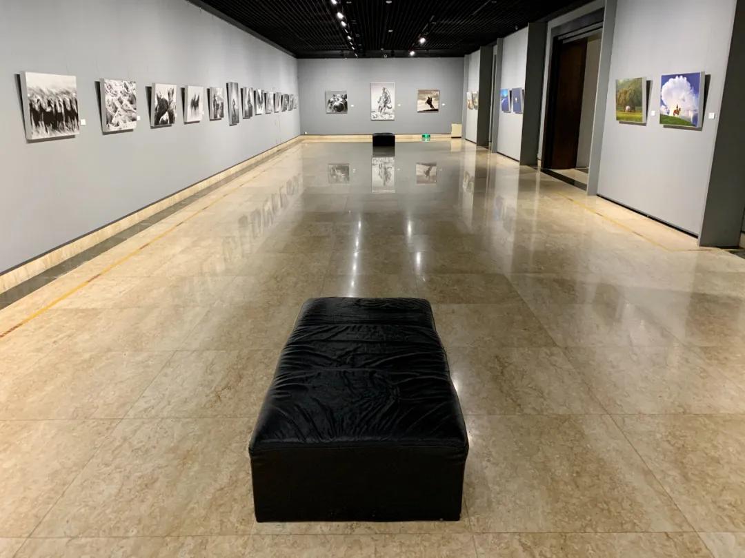 蒙古馬攝影藝術(shù)作品展暨《蒙古馬》畫冊(cè)首發(fā)式開幕