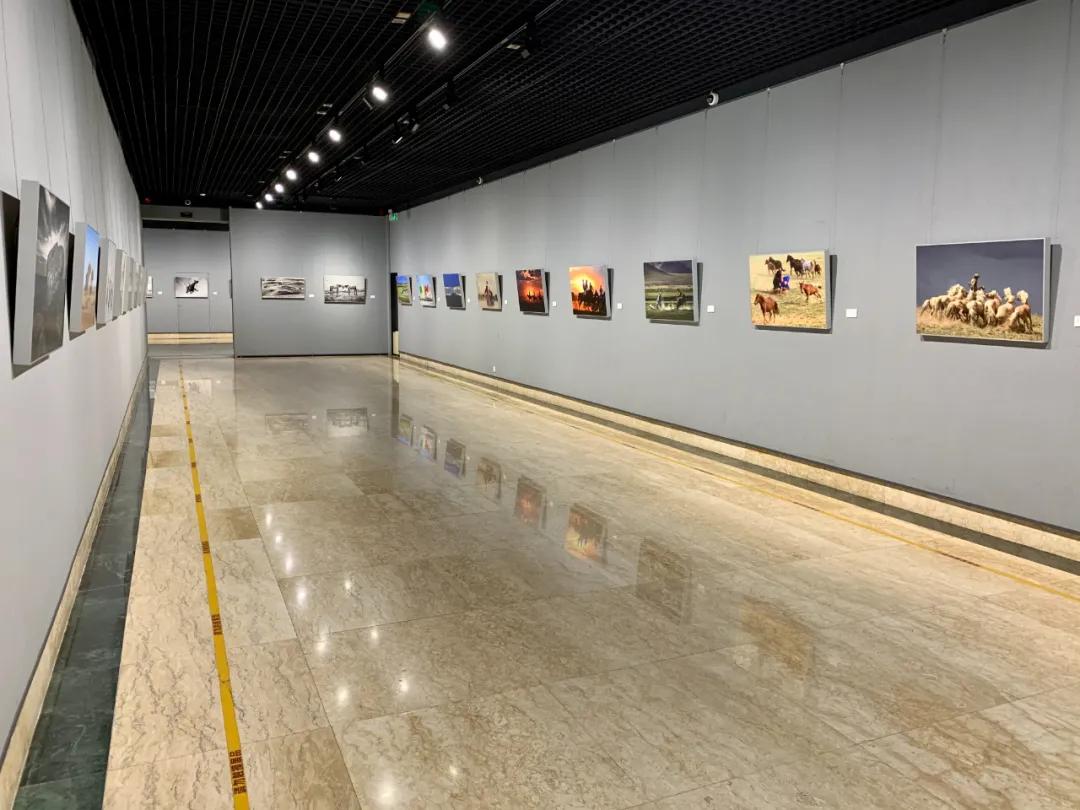 蒙古馬攝影藝術(shù)作品展暨《蒙古馬》畫冊(cè)首發(fā)式開幕