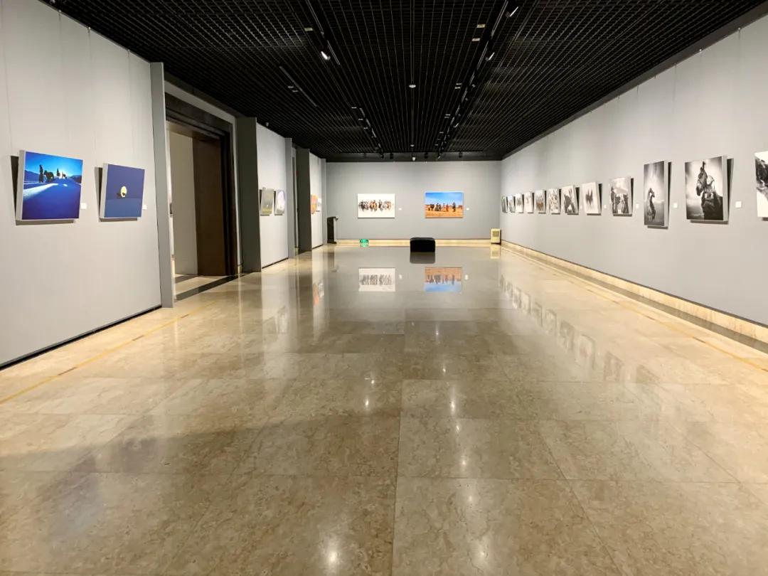 蒙古馬攝影藝術(shù)作品展暨《蒙古馬》畫冊(cè)首發(fā)式開幕