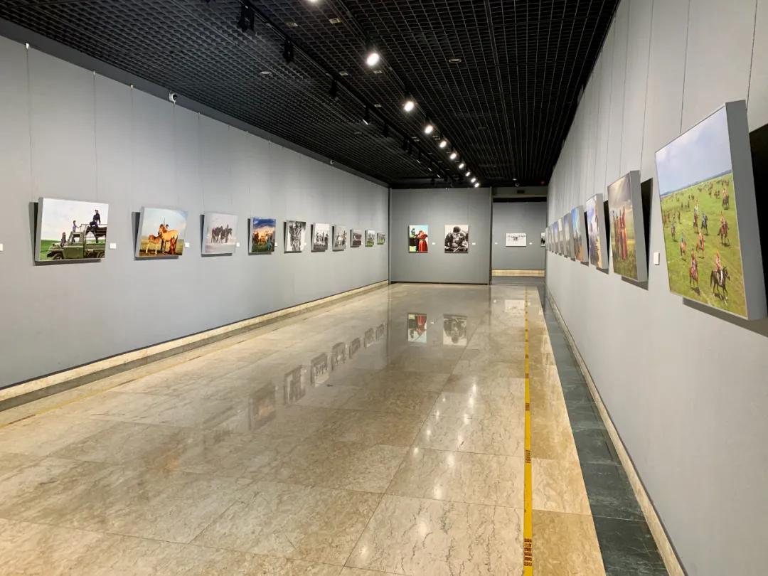 蒙古馬攝影藝術(shù)作品展暨《蒙古馬》畫冊(cè)首發(fā)式開幕