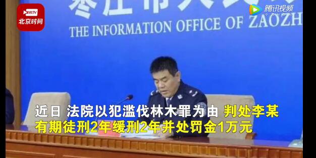 農(nóng)民砍自家樹(shù)700棵獲刑！處罰依據(jù)公布