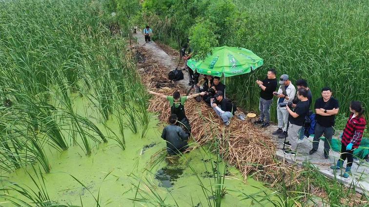 央視《大運河》系列節(jié)目:以鮮活表達具象國家文化符號 央視《大運河》系列節(jié)目:以鮮活表達具象國家文化符號