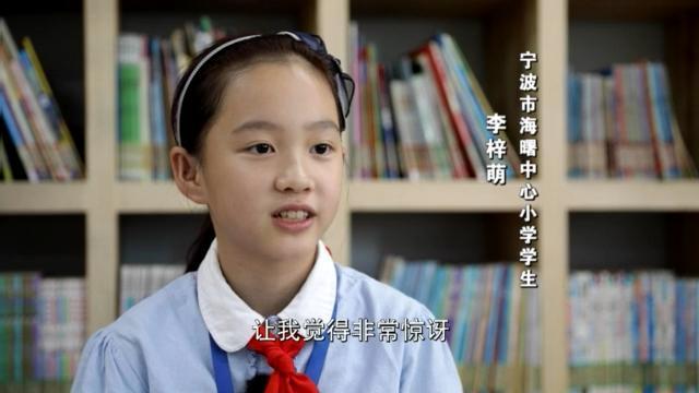 “神獸”歸來 不花錢的暑托班有市場嗎？