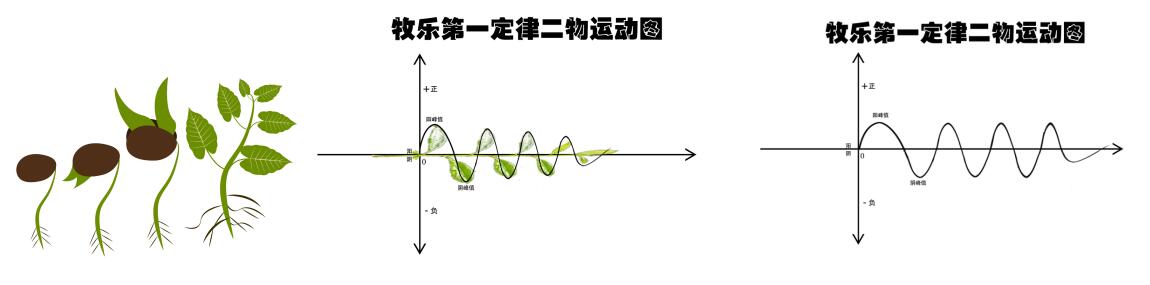 關(guān)于宇宙形狀、空間、時間、生命體的討論與五個猜想