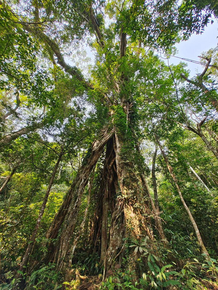 中國國家公園，到底有多寶藏？