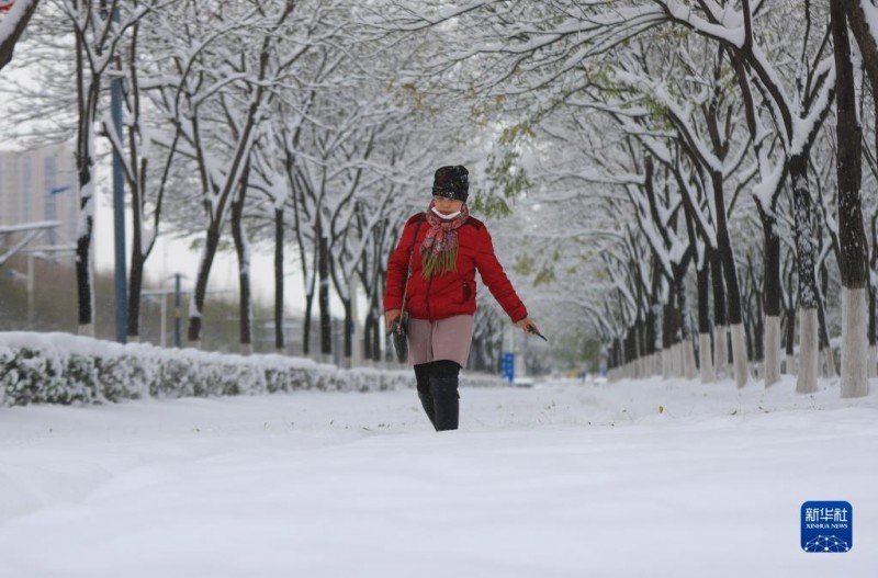 沈陽出現(xiàn)1905年有氣象記錄以來冬季最強(qiáng)降雪 (1/21)