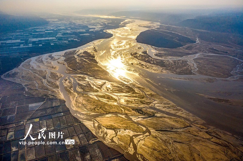 黃河水位下降 河床露出線(xiàn)條形態(tài)各異蔚為壯觀(guān)