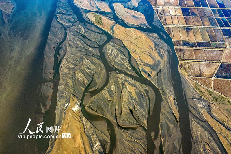 黃河水位下降 河床露出線(xiàn)條形態(tài)各異蔚為壯觀(guān)