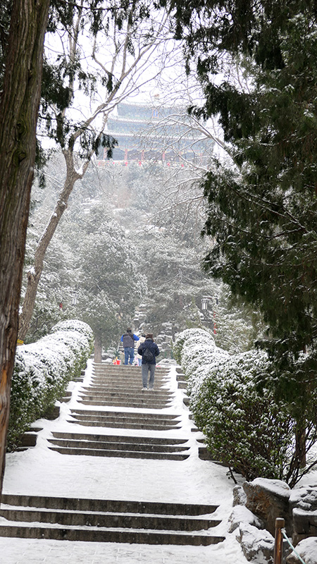 雪中景山公園、故宮