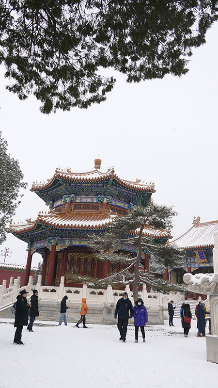 雪中景山公園、故宮