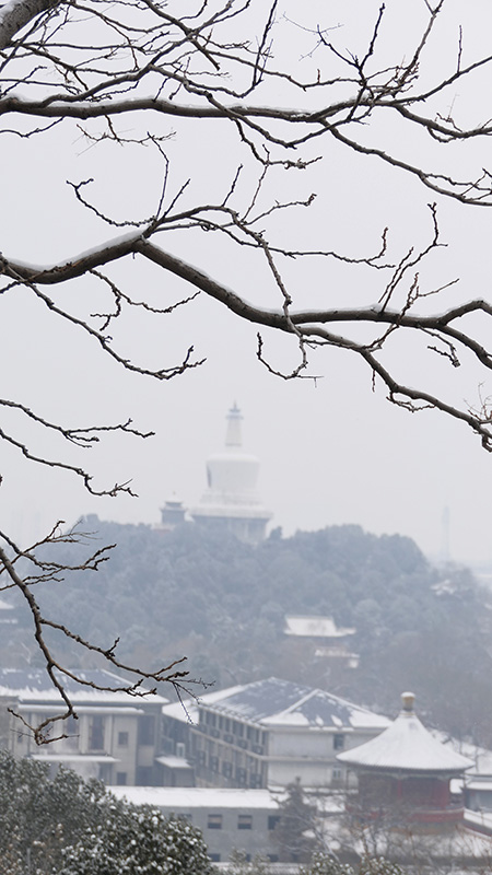 雪中景山公園、故宮