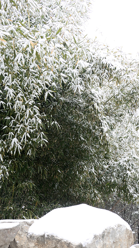 雪中景山公園、故宮