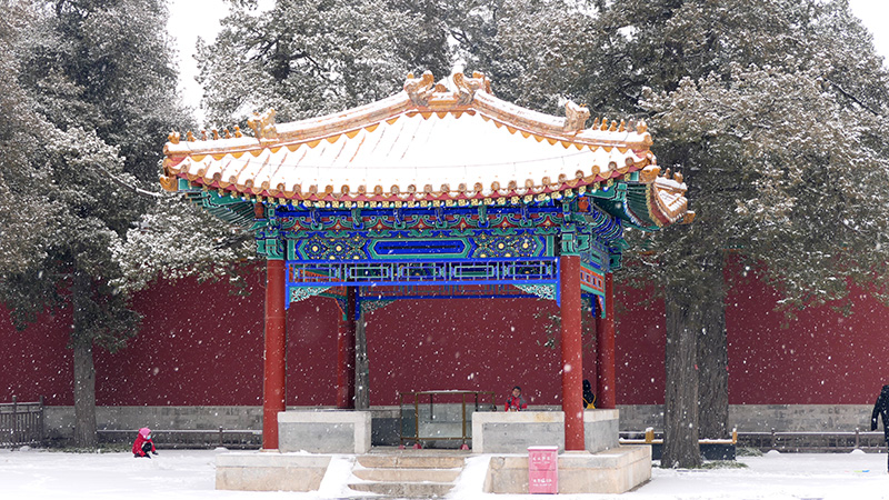 雪中景山公園、故宮——李月攝影