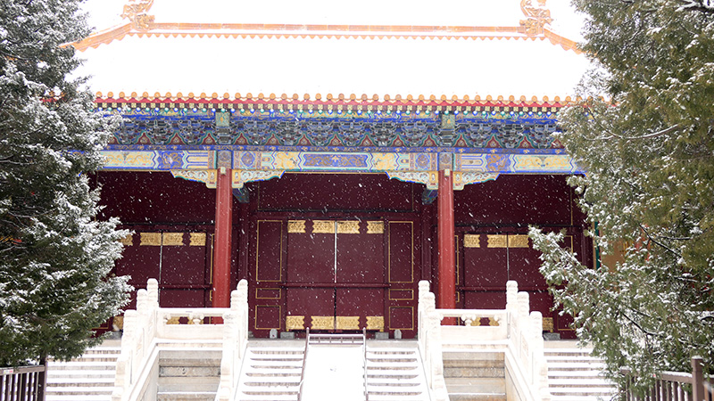 雪中景山公園、故宮——李月攝影