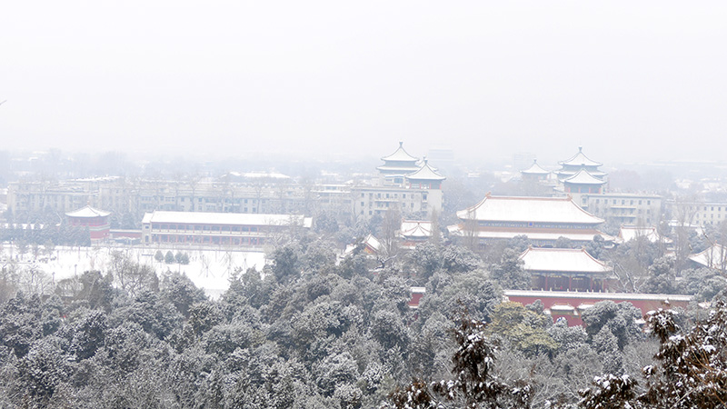 雪中景山公園、故宮——李月攝影