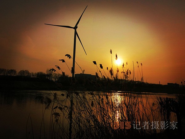 李月手機拍圖——又見蘆葦夕陽紅