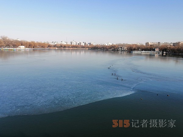 李月手機拍圖——玉淵潭公園冰開春來