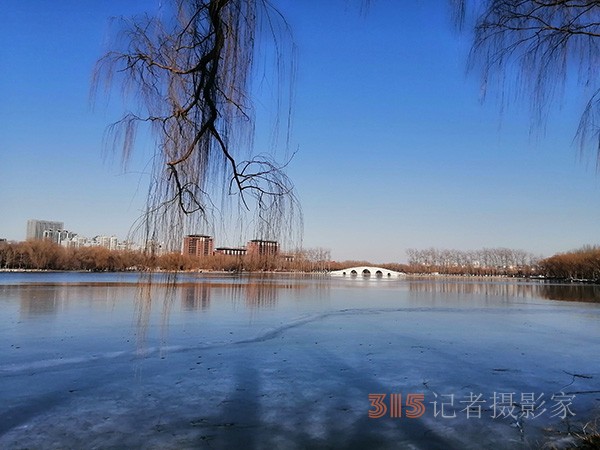 李月手機拍圖——玉淵潭公園冰開春來