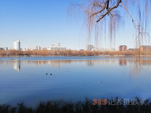 李月手機拍圖——玉淵潭公園冰開春來