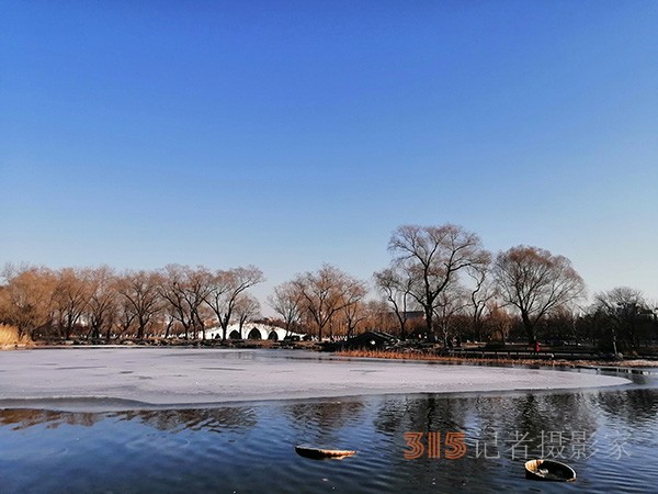 李月手機拍圖——玉淵潭公園冰開春來