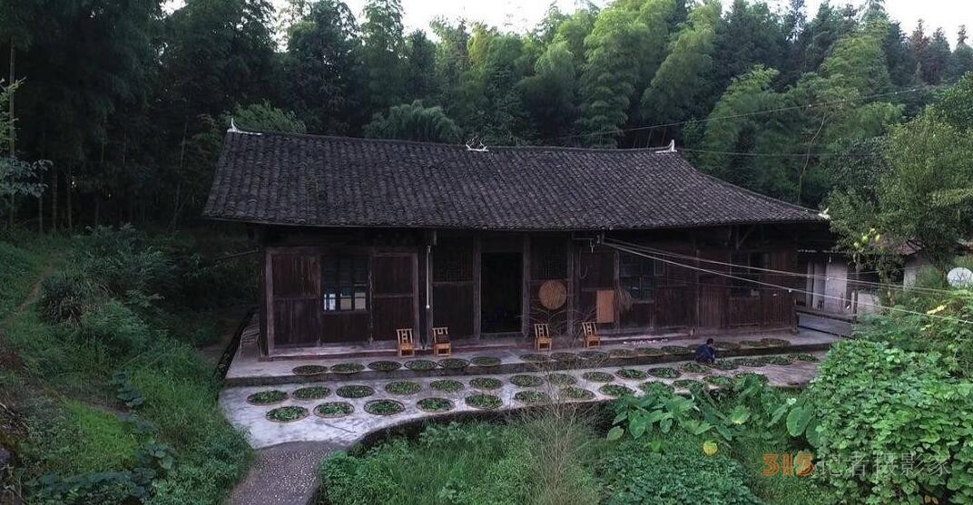 華祥龍茶業(yè)創(chuàng)始人——中國茶癡董紹林