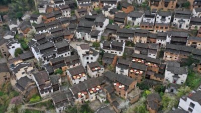 江西婺源篁嶺：大地的調(diào)色板