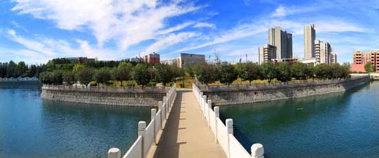 平頂山市石龍區(qū)：用磁場(chǎng)效應(yīng)，催生能力作風(fēng)建設(shè)“蝶變”