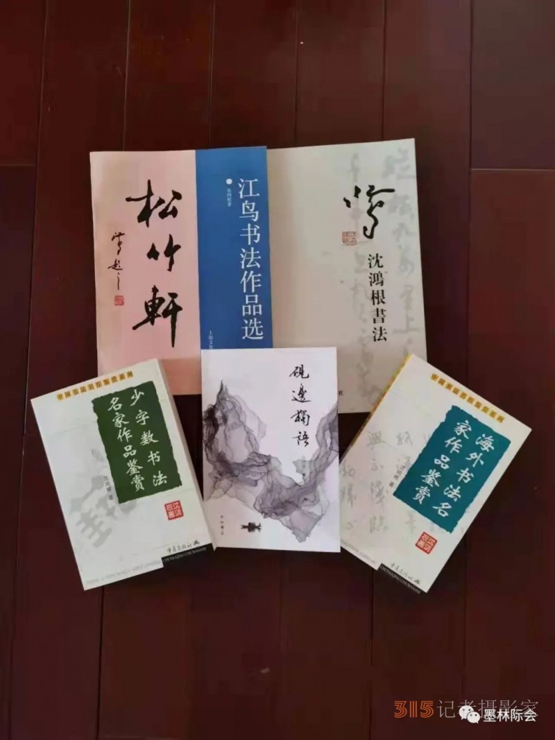 獨標風(fēng)骨藝壇上，濯古來新成一家---沈鴻根先生訪談