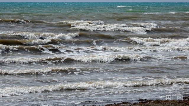 碧波蕩漾 青海湖迎來開湖季