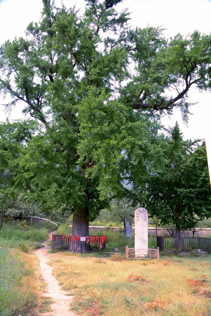 北京房山金祖山風(fēng)景區(qū)內(nèi)十字寺遺址
