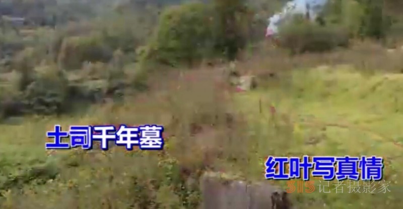 一曲后坪歌，唱響故土情