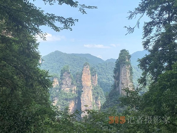 胡玉飛手機(jī)拍圖——張家界