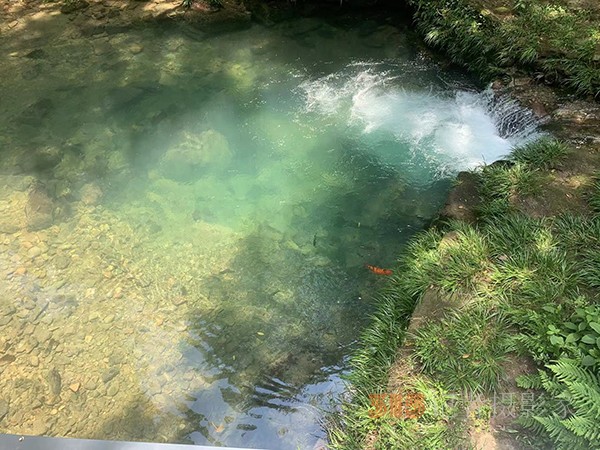 胡玉飛手機(jī)拍圖——張家界