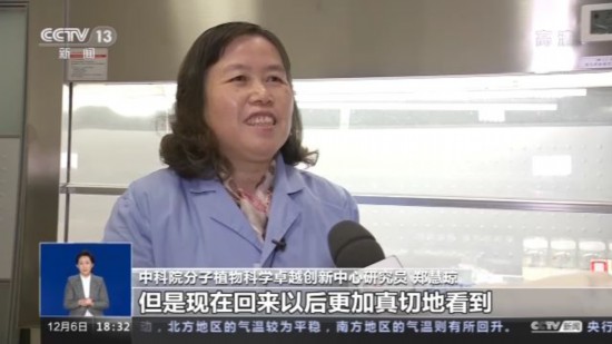 神十四乘組帶回植物種子 “太空植物”生長有何奧秘？