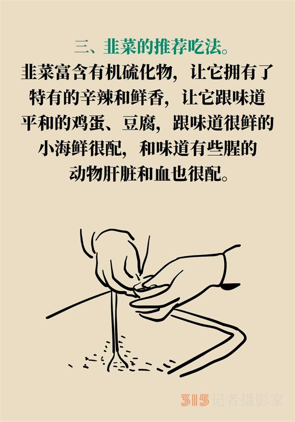 抗炎抗氧化，春天的韭菜這樣吃最好