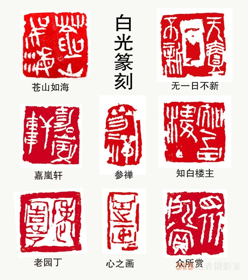 書畫名家白光作品——以書入畫 詩化丹青