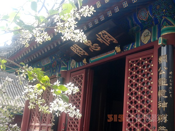 花開法源寺——李月手機(jī)拍圖