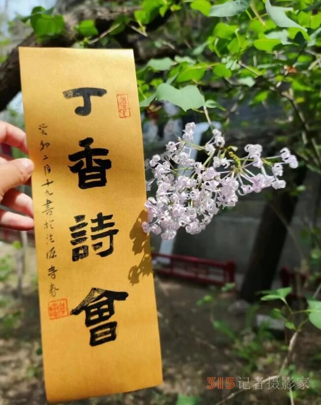 丁香詩(shī)會(huì)雅集·癸卯卷