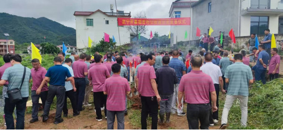 祖先福地好風(fēng)光 葉茂根深播若芳