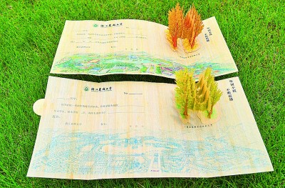 錄取通知書里的“秘密”與心語，你讀懂了嗎