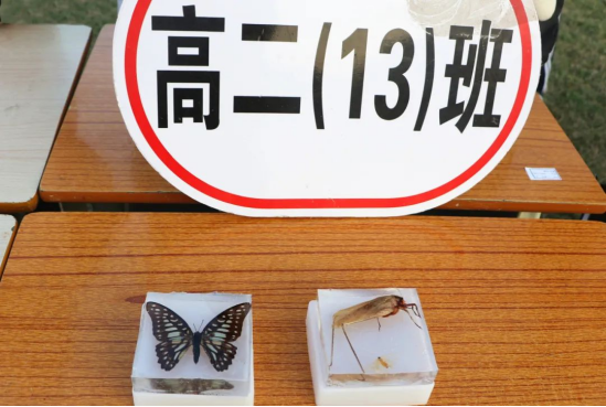 柴時鐘： 創(chuàng)新求進(jìn) 科技強(qiáng)國