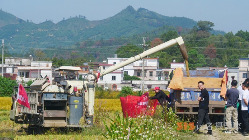 碳氫賦農(nóng)顯成效 核肥助力廣東清遠絲苗米豐收