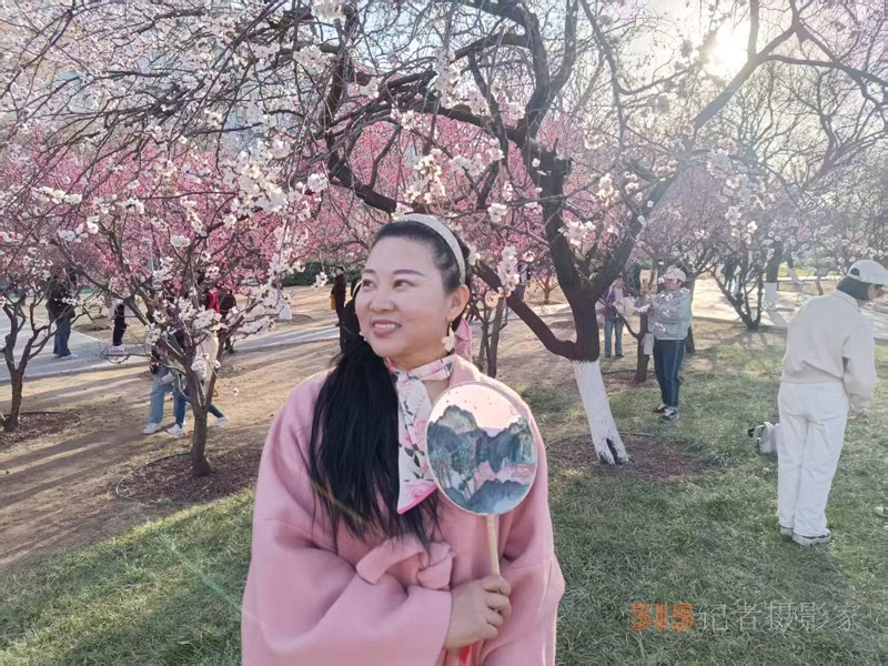 春分時(shí)節(jié)明城墻樂(lè)游賞梅